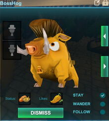 Creativerse bosshog 2017-07-20 15-46-10-37.jpg