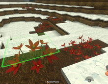 Creativerse Tundra Flowers010.jpg