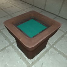 Creativerse flower pot with mineral water 2017-08-08.jpg
