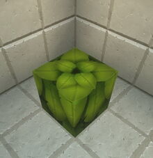 Creativerse leaves 2019-02-07 02-00-08-19.jpg