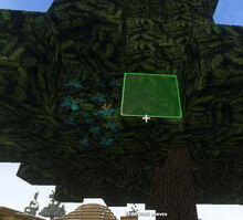 Creativerse Elderwood flowers17373.jpg