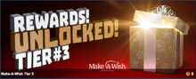 Creativerse Make-A-Wish Tier 3 2019-01-03 01-19-21-43.jpg