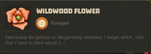 Creativerse Flowers Wildwood.jpg
