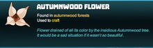 Creativerse autumnwood flower 2018-04-15 16-07-10-85 tooltip flower