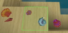 Creativerse Seashells10010.jpg