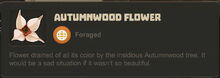 Creativerse Autumnwood Flower001