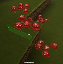 Creativerse red mushrooms001