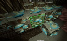 Creativerse glowing mushrooms 2019-04-23 11-12-10-1550.jpg