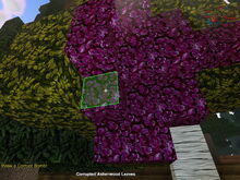 Creativerse corrupted ashenwood leaves 2019-06-02 19-29-20-12