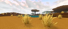Creativerse shrubs in savannah 2018-07-02 16-19-42-97.jpg