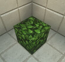 Creativerse leaves 2019-02-07 01-59-44-64.jpg