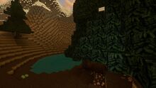 Creativerse rimecones mountain valley 2018-10-01 02-12-54-73.jpg