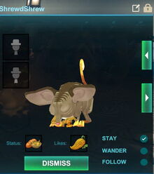 Creativerse Shrewdshrew eating 2017-07-27 15-05-24-34.jpg
