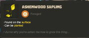 Creativerse R27 tooltips0350