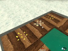 Creativerse fallow seeds02.jpg