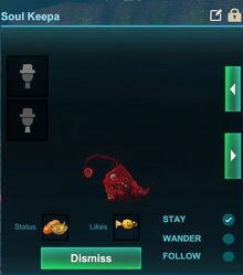 Creativerse soulkeepa pet 2018-11-14 02-39-36-77