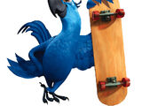 Blu Macaw