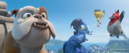 Rio 2 new commercial