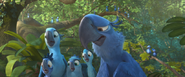 Ah.Rio2