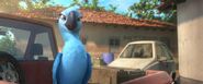 Rio 2 migration 2