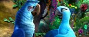 Rio-2-Official-Trailer-3-14