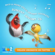 Rio 2 Nico & Pedro Grammy Coverage