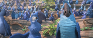 Rio 2 - New Scenes of Soccer 9