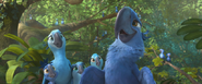 Anybodyelse.Rio2