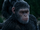 Chimpanzees (Masoniverse)