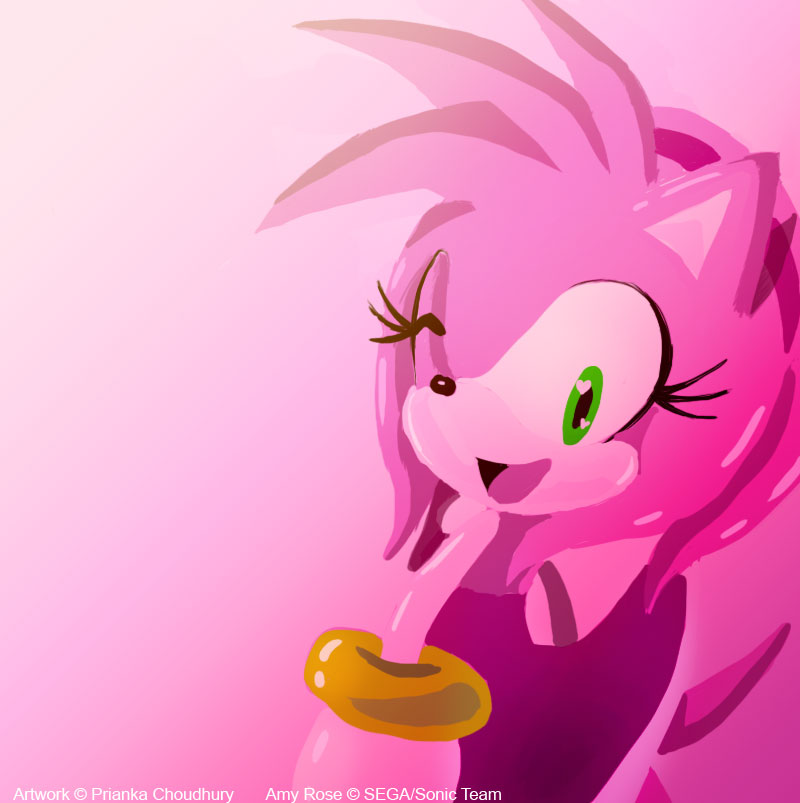 baby amy rose the hedgehog