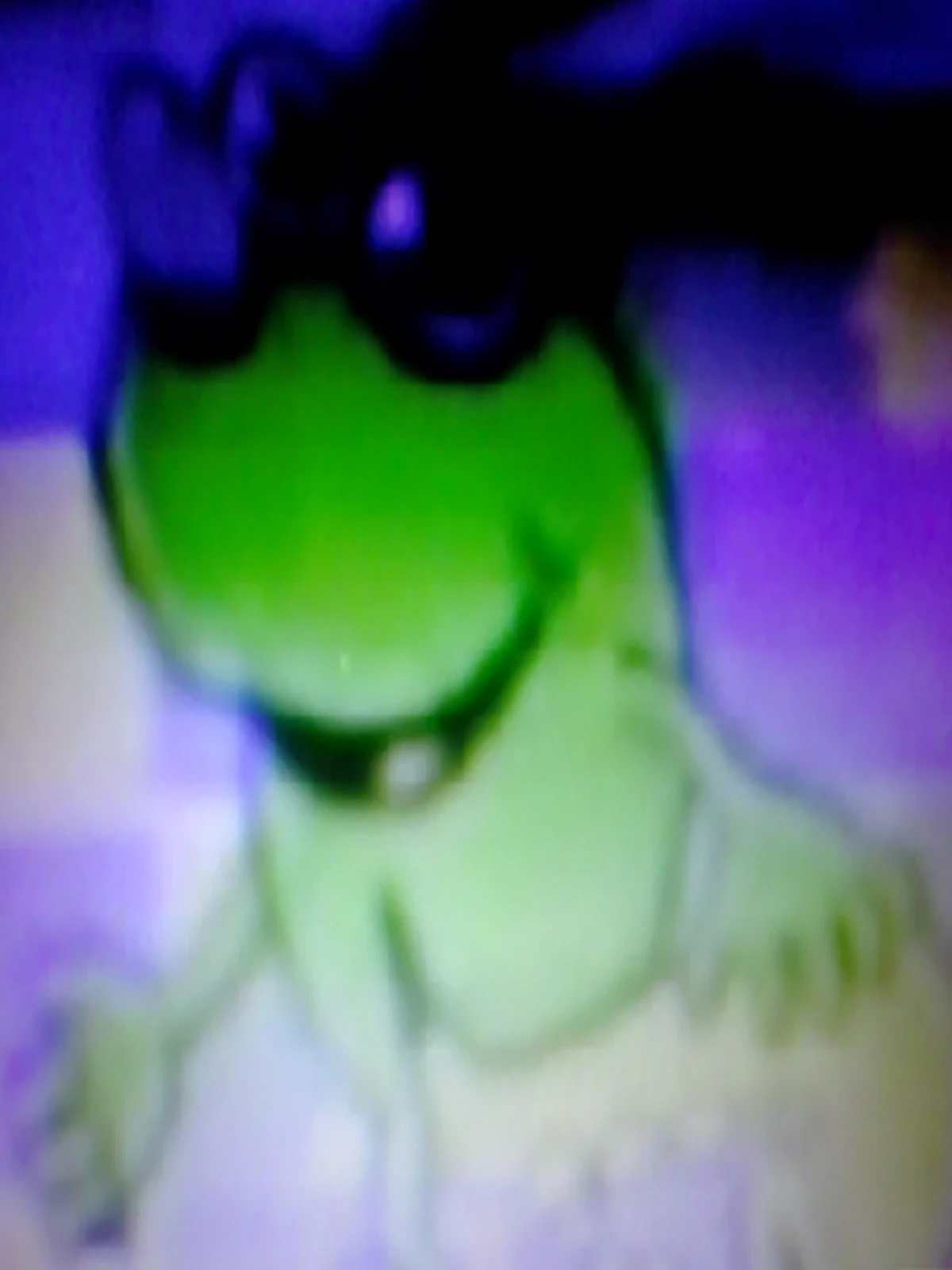 Jazz Dog | Creatures and Species Wikia | Fandom