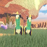 Dwarfism Norskogg (right) next to Regular Norskogg