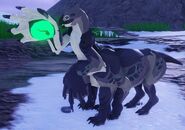 Juvenile Nindyr