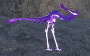 Amethyst Khiku