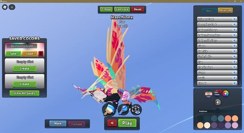 Recode Customization Menu, 25th January 2025