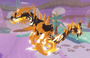 Creator Star Sigmatox
