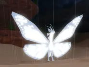 Old Albino + Glimmer Momola