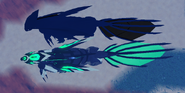 Gigantism Nindyr, top view