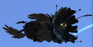 Melanistic Furnilixii