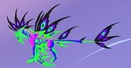 Bewitched female Gloracus