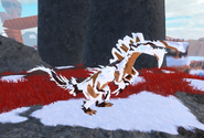 Old Piebald Yama'tu