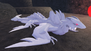 Albino Zwevealisk