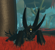 Melanistic Tornir