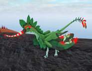 Old shimmer female Brequewk