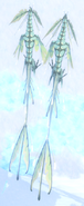 Dwarfism Fluren (left) next to Regular Fluren (right)
