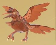 Old Fool's Gold male Kiiwin