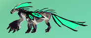 Shimmer Nindyr