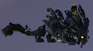 Melanistic Fabráashé