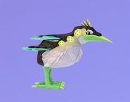 Old Glow Tail Kiiwin; note the lack of difference from normal Kiiwin