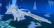 Leucistic female Saukuryn